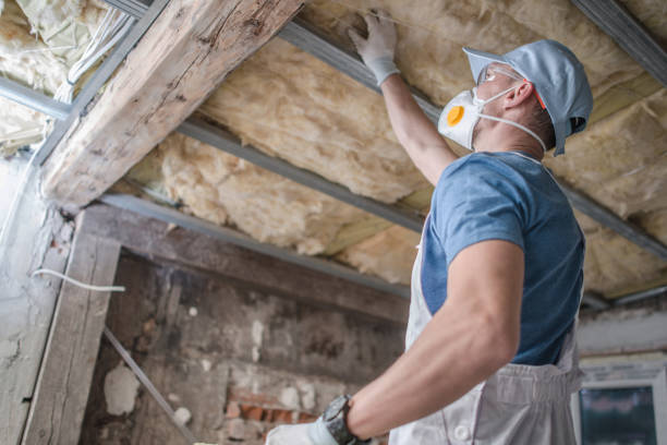 Best Residential Insulation in Huachuca City, AZ