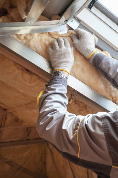 Best Commercial Insulation in Huachuca City, AZ