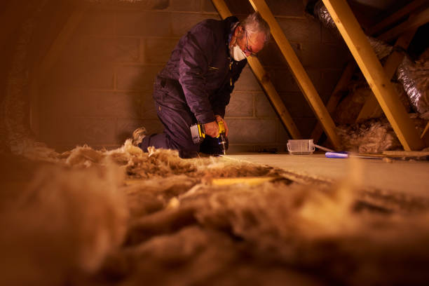 Best Eco-Friendly Insulation in Huachuca City, AZ